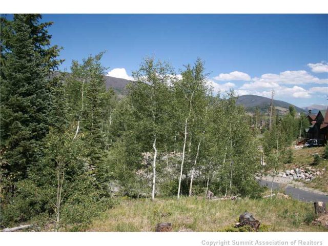 745 Wild Rose Road, Silverthorne, CO — main photo