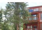 147 Illinois Gulch Road 1 photo 1
