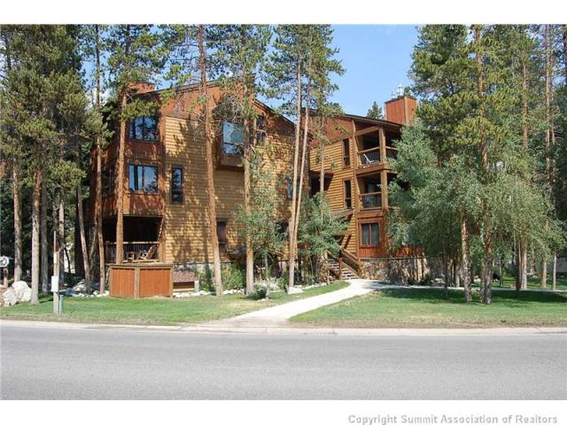 Condo in Snowdrop Condo, Breckenridge, CO — photo 1 (MLS S381016)