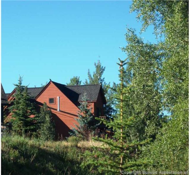 Townhome in Willow Lake Townhomes, Silverthorne, CO — photo 1 (MLS S381236)