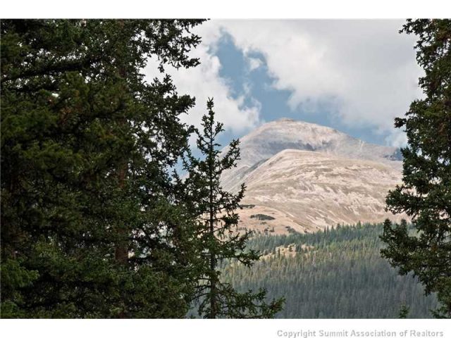 Land in Daisy Sub, Breckenridge, CO — photo 1 (MLS S381475)