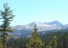 266 Protector Circle photo 1