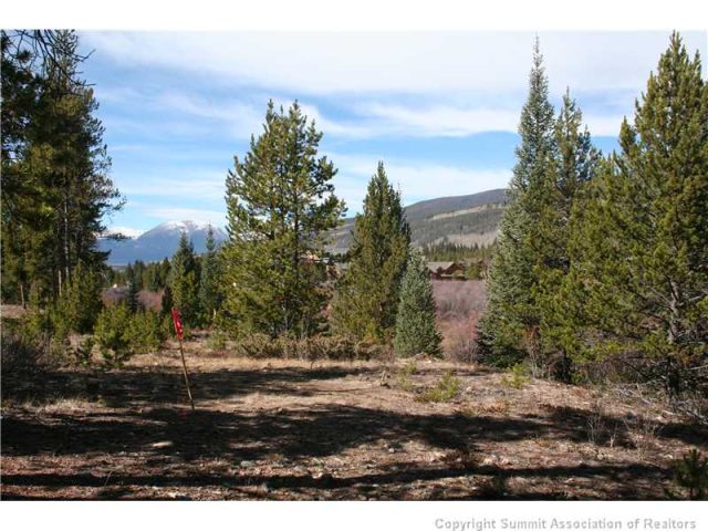 Land in Alders The, Keystone, CO — photo 1 (MLS S381910)