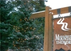 50 Mountain Thunder Drive 1301 photo 1