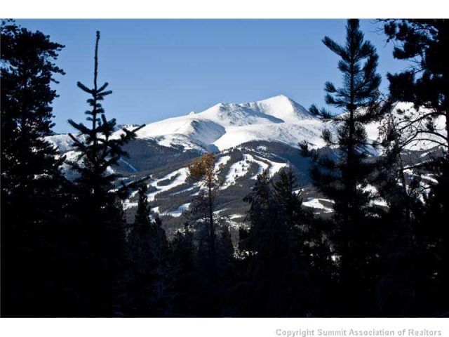 Home in Forest Hills Sub, Breckenridge, CO — photo 1 (MLS S382495)