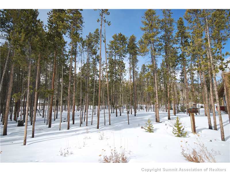 207 Lupine Lane, Frisco, CO — main photo