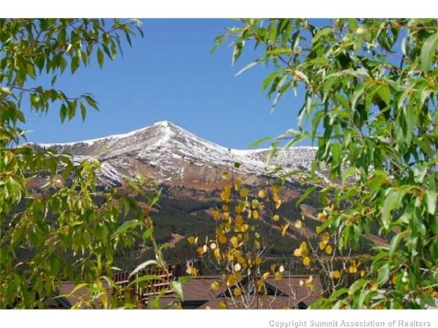 Townhome in Main Street Junction, Breckenridge, CO — photo 1 (MLS S382777)