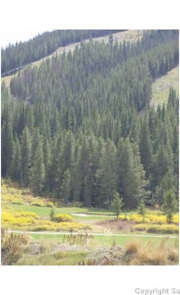 Land in Masters At Copper Creek The, Copper Mountain, CO — photo 1 (MLS S382853)