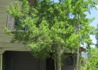 44 Ryan Gulch Road D2 photo 1
