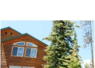 35 Wildernest Court photo 1