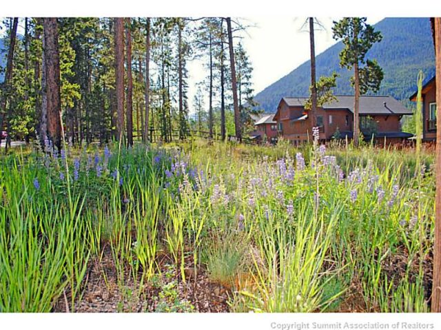 Land in Alders Sub, Keystone, CO — photo 1 (MLS S383629)