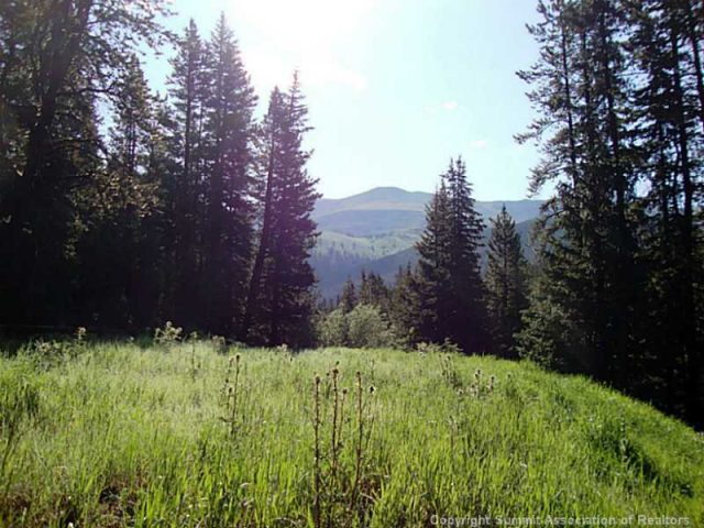 Land in Aspen Springs, Breckenridge, CO — photo 1 (MLS S383729)