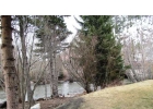101 Forest Drive 3 photo 1