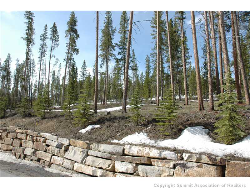 1532 Highlands Drive, Breckenridge, CO — main photo