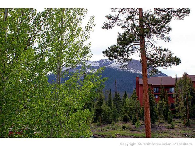 89100 Ryan Gulch Road 307, Wildernest, CO — main photo