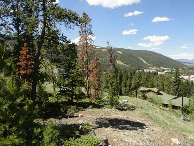 Land in North Fork Reserve, Keystone, CO — photo 1 (MLS S384398)