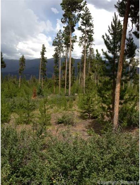 Land in Ruby Ranch Sub, Silverthorne, CO — photo 1 (MLS S384415)
