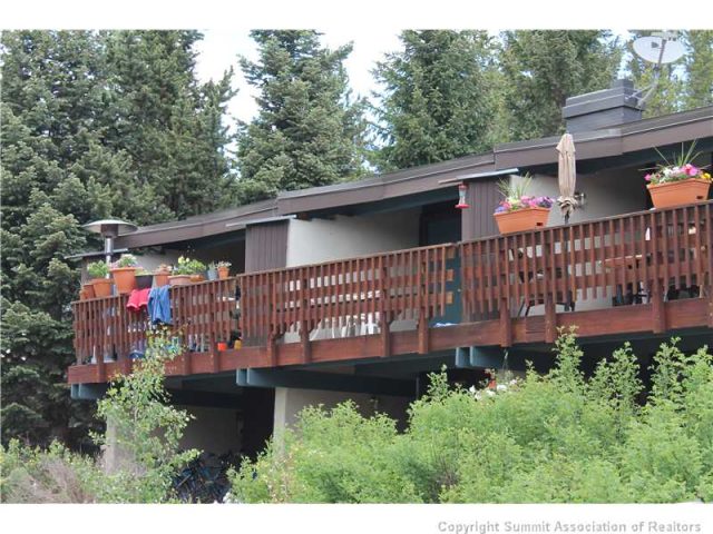Condo in Hermit Placer Grove Condo, Breckenridge, CO — photo 1 (MLS S384690)