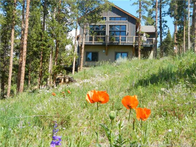Home in Summit Estates, Breckenridge, CO — photo 1 (MLS S384883)