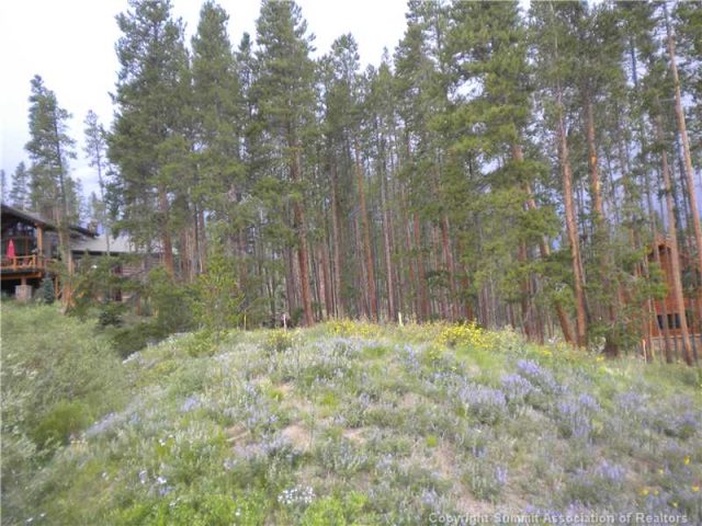 Home in Crescent Sub, Breckenridge, CO — photo 1 (MLS S384926)