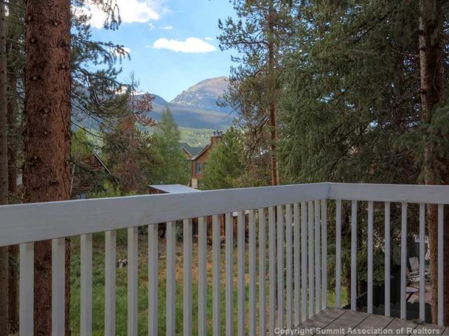 Duplex in Teller Duplexes, Frisco, CO — photo 1 (MLS S385056)