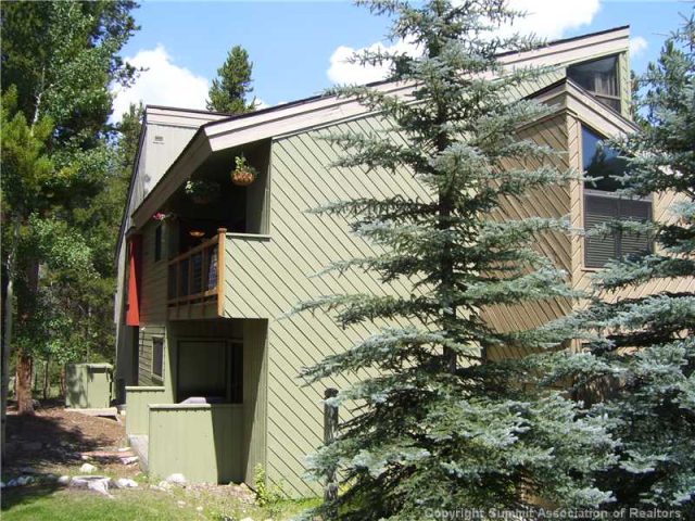 100 Wild Irishman Road Road 1102, Keystone, CO — main photo