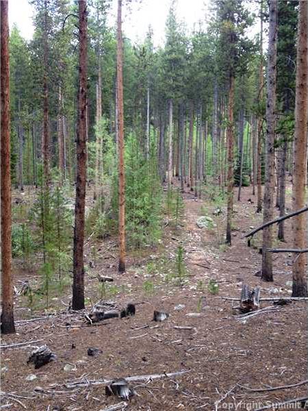 Land in Southside Estates, Breckenridge, CO — photo 1 (MLS S385471)