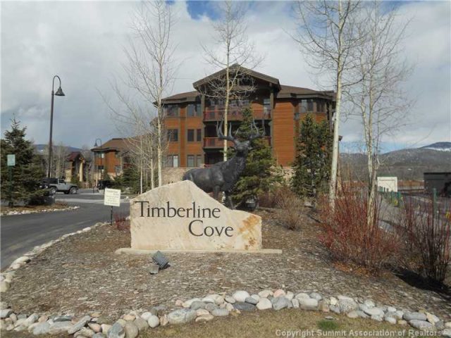 1101 9000 Divide Road 304, Frisco, CO — main photo