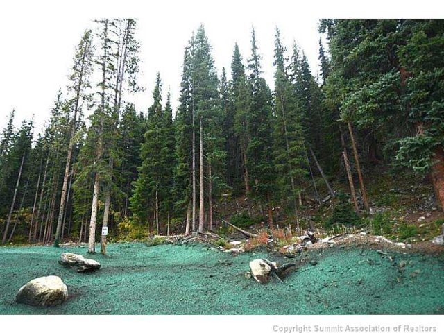 Land in Warriors Preserve Sub, Breckenridge, CO — photo 1 (MLS S385781)