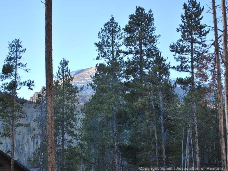 164 Rose Crown Circle, Frisco, CO — main photo