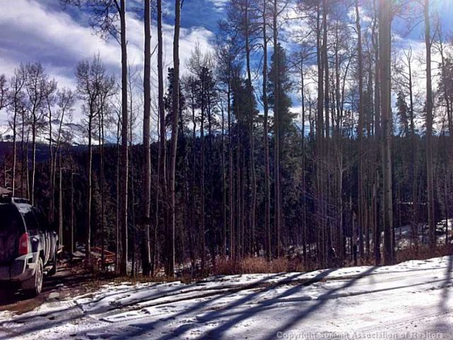 Land in Discovery Sub, Breckenridge, CO — photo 1 (MLS S386189)
