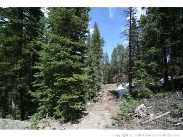 Land in Loma Verde Sub, Breckenridge, CO — photo 1 (MLS S386538)