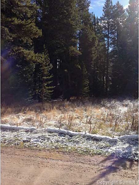 Land in Wilderness Sub, Blue River, CO — photo 1 (MLS S386634)