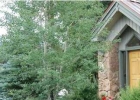 300 Kings Crown Road 1 photo 1