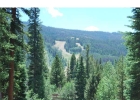 29 Stoney Trail photo 1