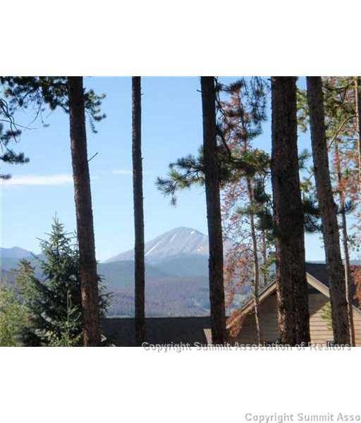Land in Snowberry Sub, Dillon, CO — photo 1 (MLS S386799)