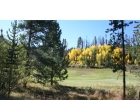 280 Elk Circle photo 1