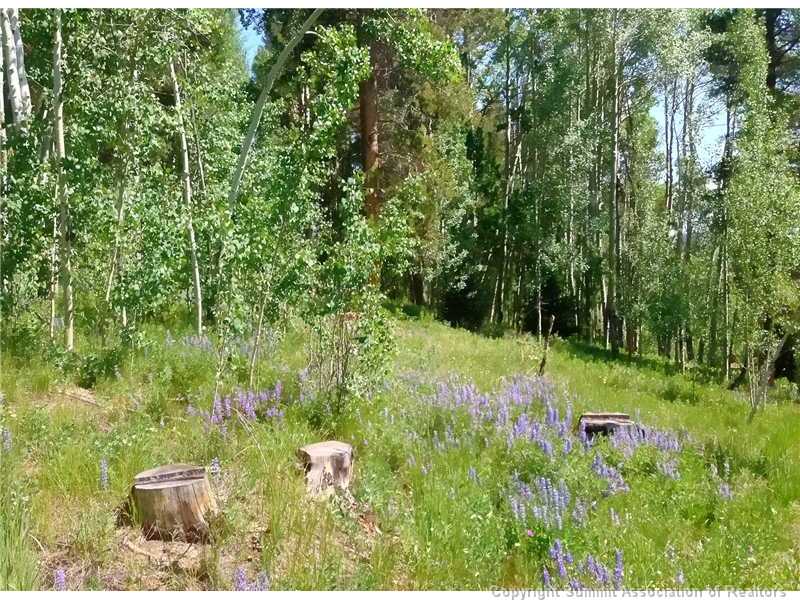 2035 Highlands Drive Drive, Breckenridge, CO — main photo