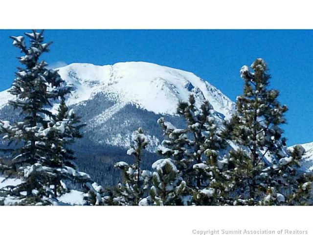 Land in Ptarmigan Trail Estates Sub 2, Silverthorne, CO — photo 1 (MLS S386882)