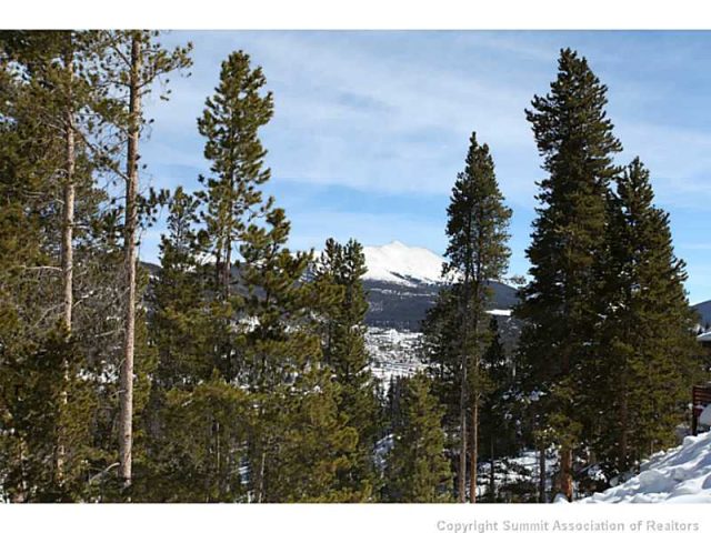 Land in Blue Ridge Amended Sub, Breckenridge, CO — photo 1 (MLS S386903)