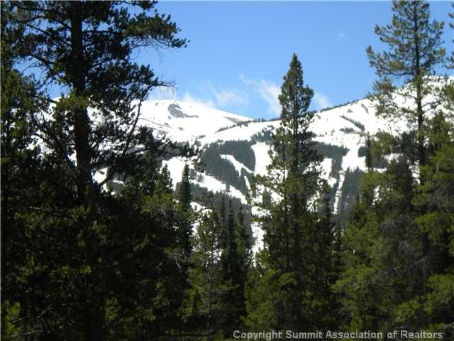 Land in Shock Hill, Breckenridge, CO — photo 1 (MLS S386923)