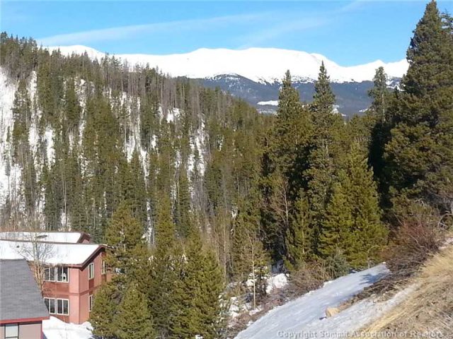 Condo in Wildflower Condo, Breckenridge, CO — photo 1 (MLS S387023)