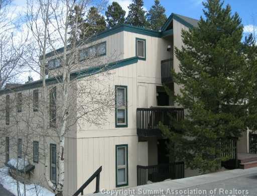 Condo in Buffalo Woods Condo, Wildernest, CO — photo 1 (MLS S387079)