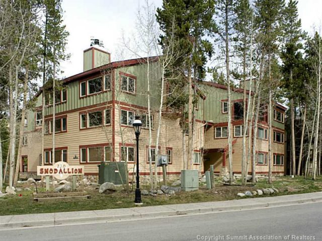 Condo in Snodallion Condo, Breckenridge, CO — photo 1 (MLS S387101)