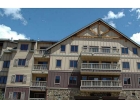 20 Hunkidori Court 2215 photo 1