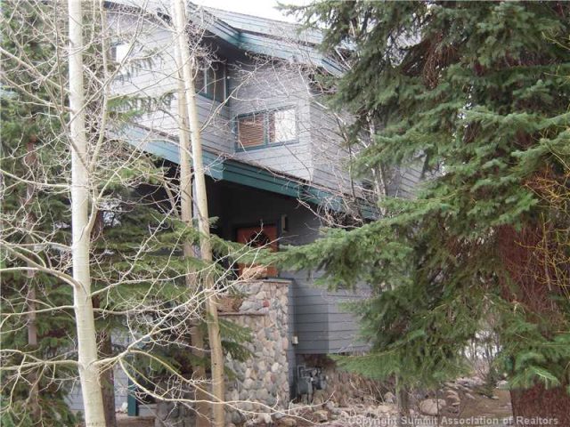 Townhome in Stonebridge @ Frisco Sub, Frisco, CO — photo 1 (MLS S387592)