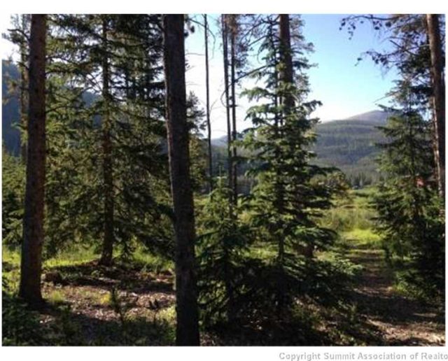 Land in Blue Rock Springs Sub, Blue River, CO — photo 1 (MLS S388027)