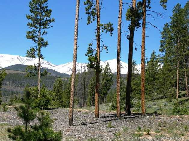 Land in Highlands @ Breck Braddock Hill, Breckenridge, CO — photo 1 (MLS S388150)