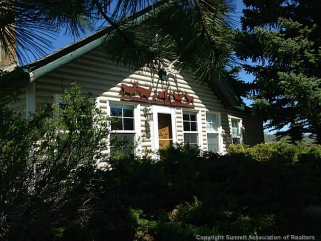 347 Green Mountain Avenue, Heeney, CO — main photo