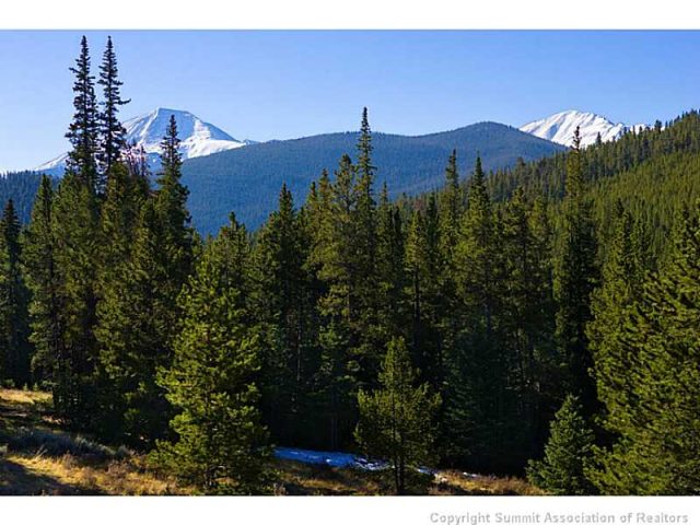 Land in Muggins Gulch, Breckenridge, CO — photo 1 (MLS S388260)